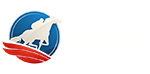 RCB988